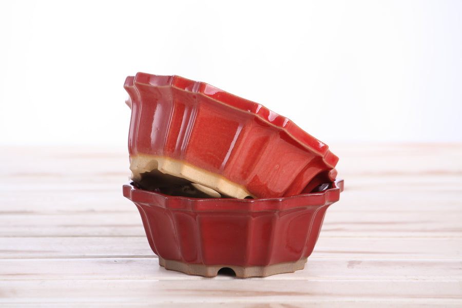 5-Inch Flower Bonsai Pot - Red