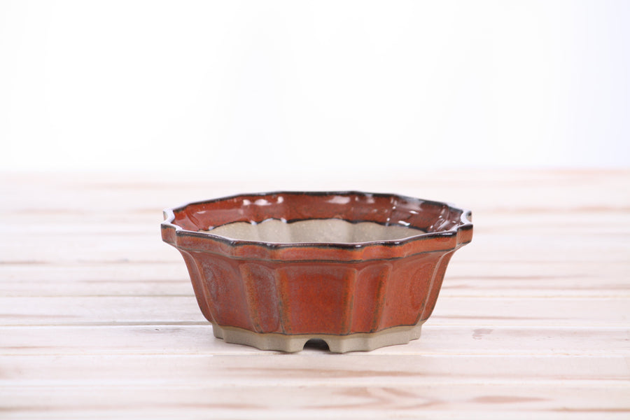 5-Inch Flower Bonsai Pot - Sunset