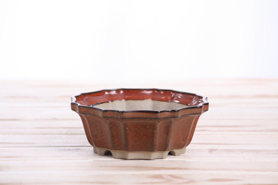 5-Inch Flower Bonsai Pot - Sunset