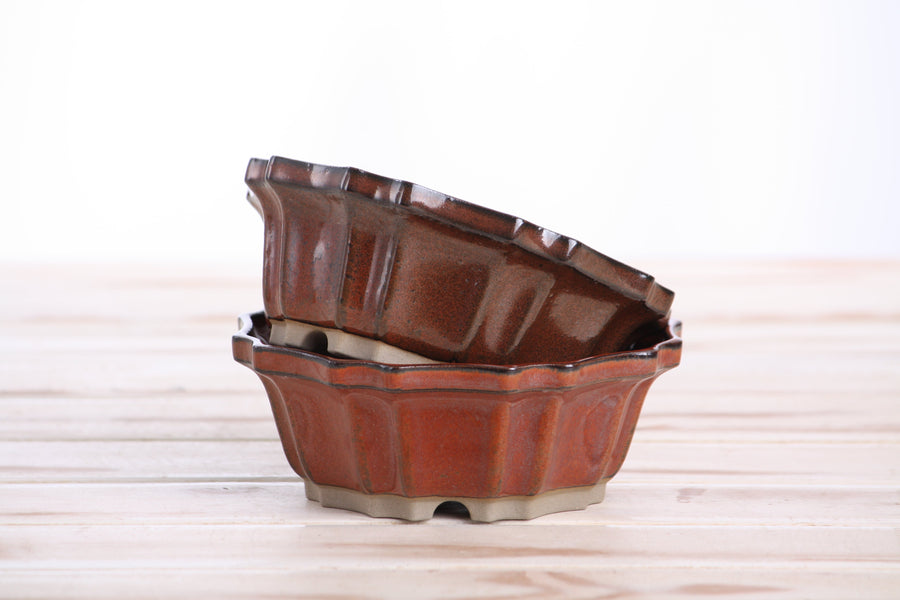5-Inch Flower Bonsai Pot - Sunset