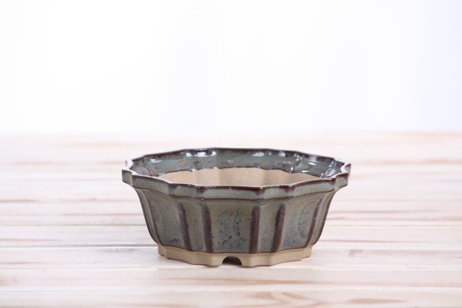 5-Inch Flower Bonsai Pot - Starry Night
