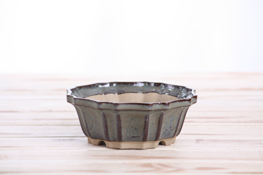 5-Inch Flower Bonsai Pot - Starry Night