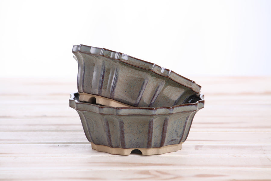 5-Inch Flower Bonsai Pot - Starry Night