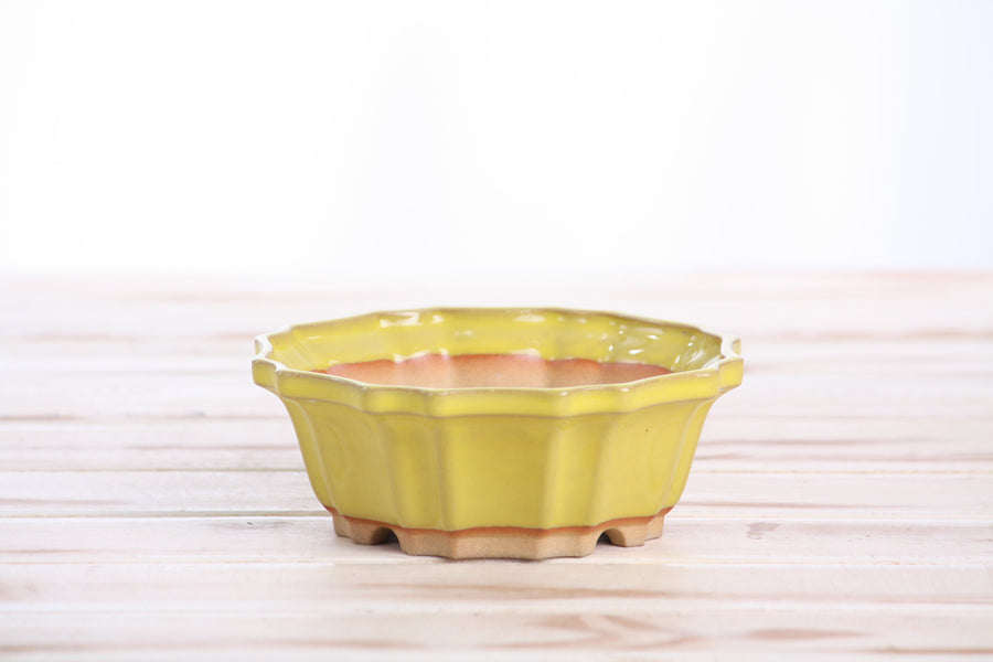 5-Inch Flower Bonsai Pot - Yellow