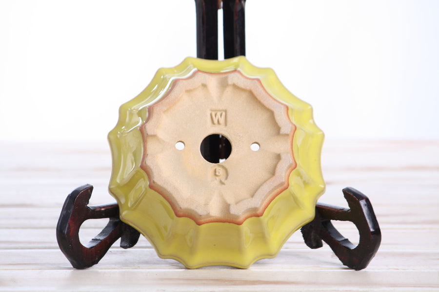 5-Inch Flower Bonsai Pot - Yellow