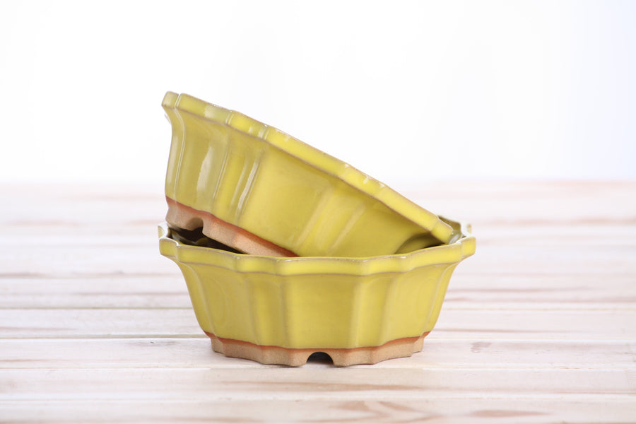 5-Inch Flower Bonsai Pot - Yellow