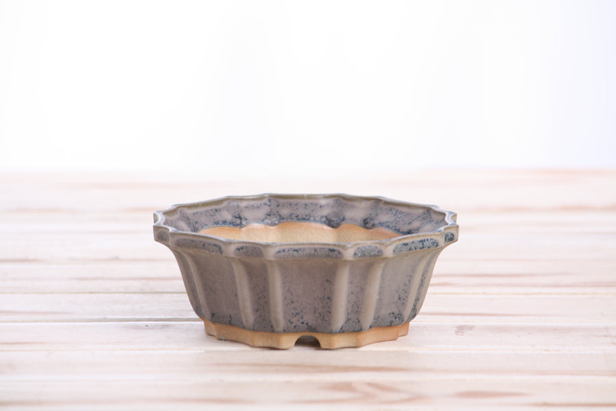 5-Inch Flower Bonsai Pot - Ocean