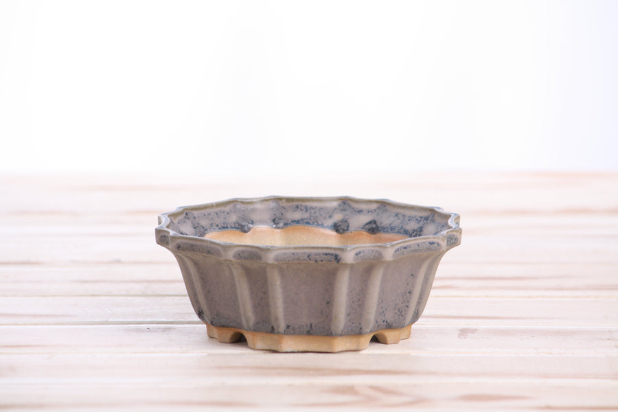5-Inch Flower Bonsai Pot - Ocean