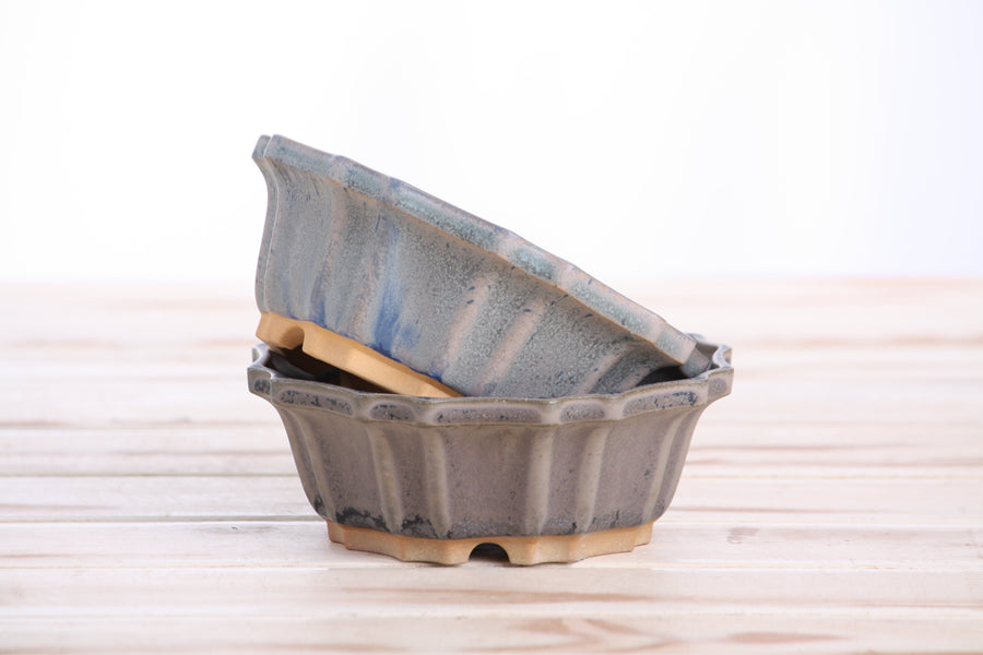 5-Inch Flower Bonsai Pot - Ocean