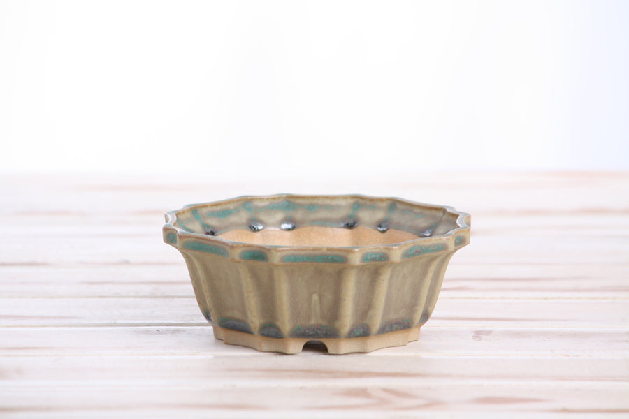 5-Inch Flower Bonsai Pot - Speckled Moss
