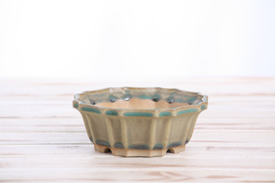 5-Inch Flower Bonsai Pot - Speckled Moss