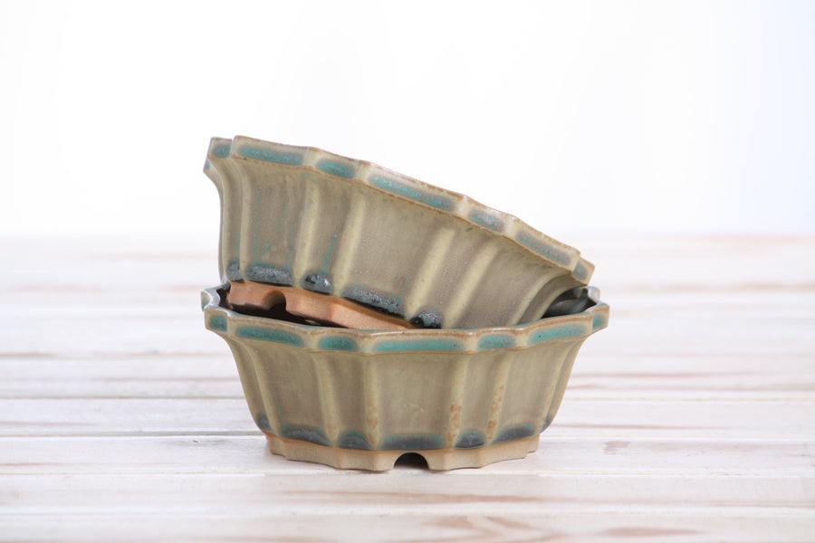 5-Inch Flower Bonsai Pot - Speckled Moss