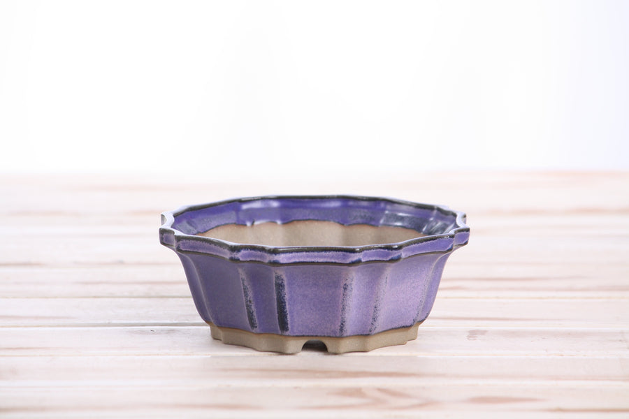 5-Inch Flower Bonsai Pot - Purple