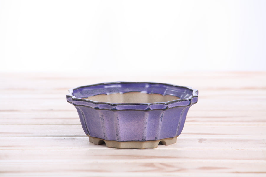 5-Inch Flower Bonsai Pot - Purple