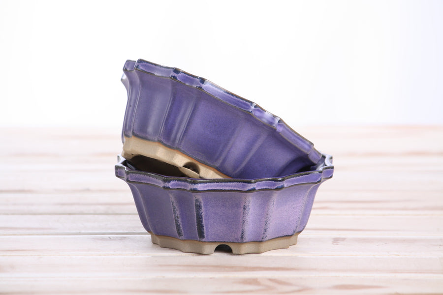 5-Inch Flower Bonsai Pot - Purple
