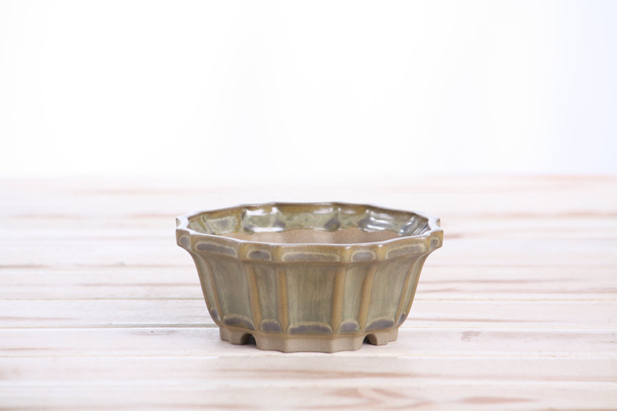 4.5-Inch Flower Bonsai Pot - Copenhagen