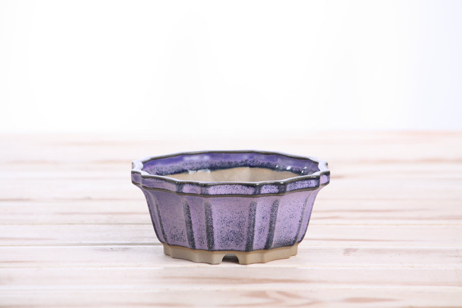 4.5-Inch Flower Bonsai Pot - Purple