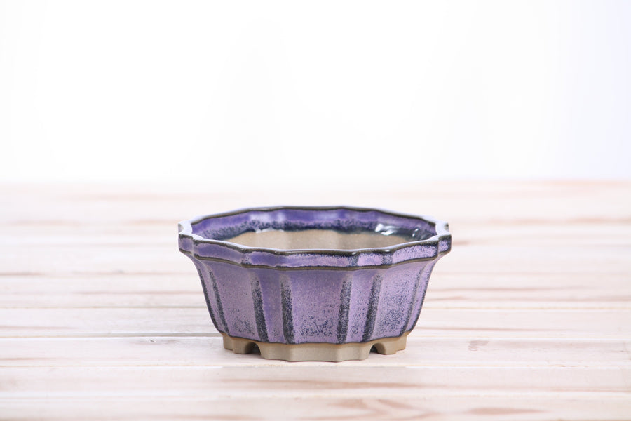 4.5-Inch Flower Bonsai Pot - Purple
