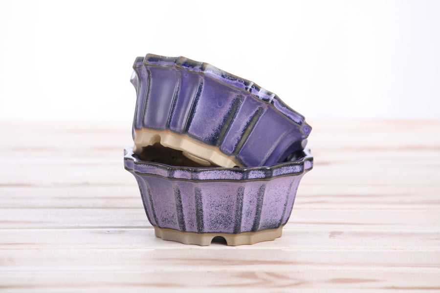 4.5-Inch Flower Bonsai Pot - Purple