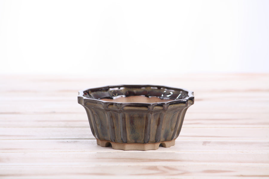 4.5-Inch Flower Bonsai Pot - Dark Honey