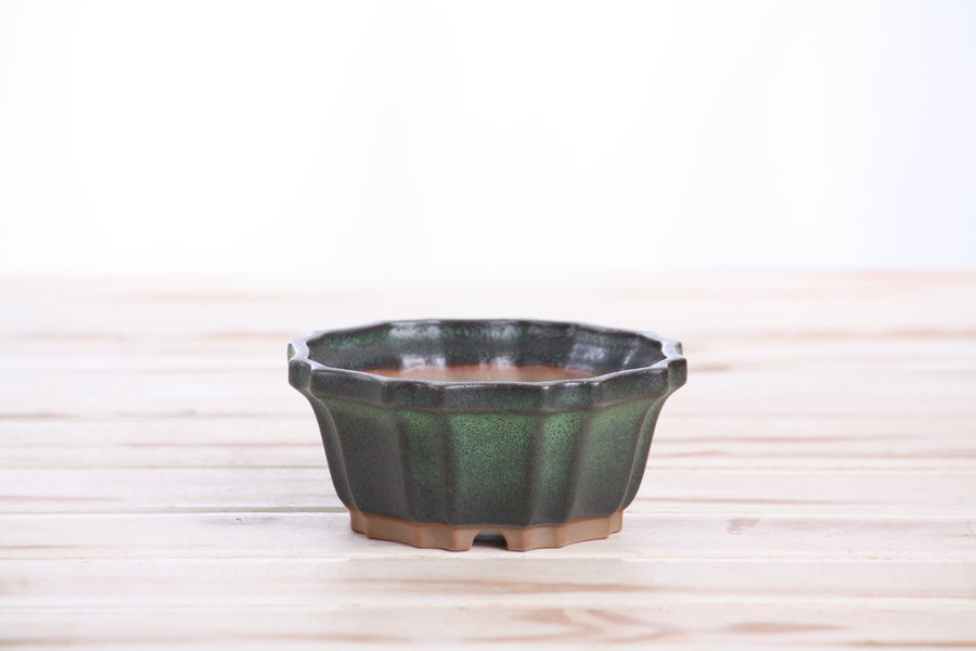 4.5-Inch Flower Bonsai Pot - Avocado