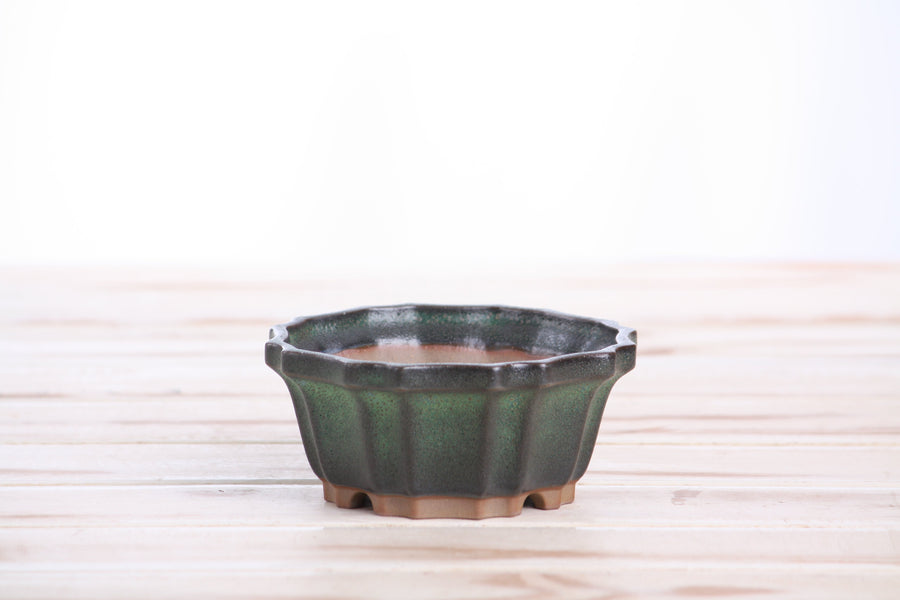 4.5-Inch Flower Bonsai Pot - Avocado