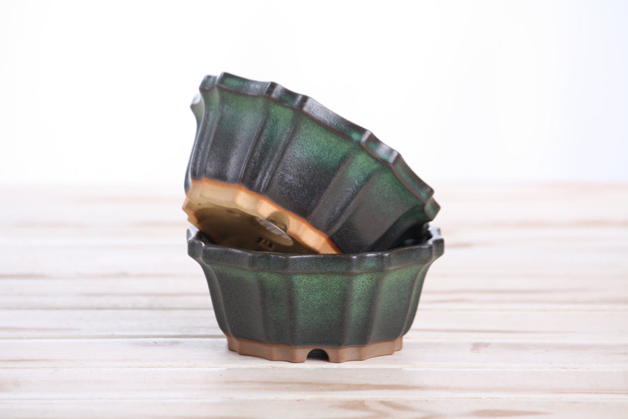 4.5-Inch Flower Bonsai Pot - Avocado