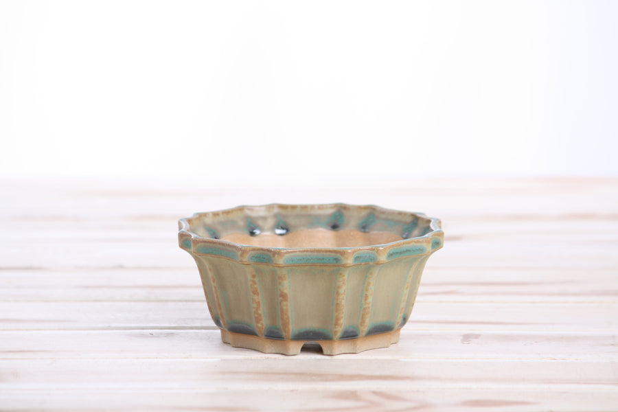4.5-Inch Flower Bonsai Pot - Speckled Moss