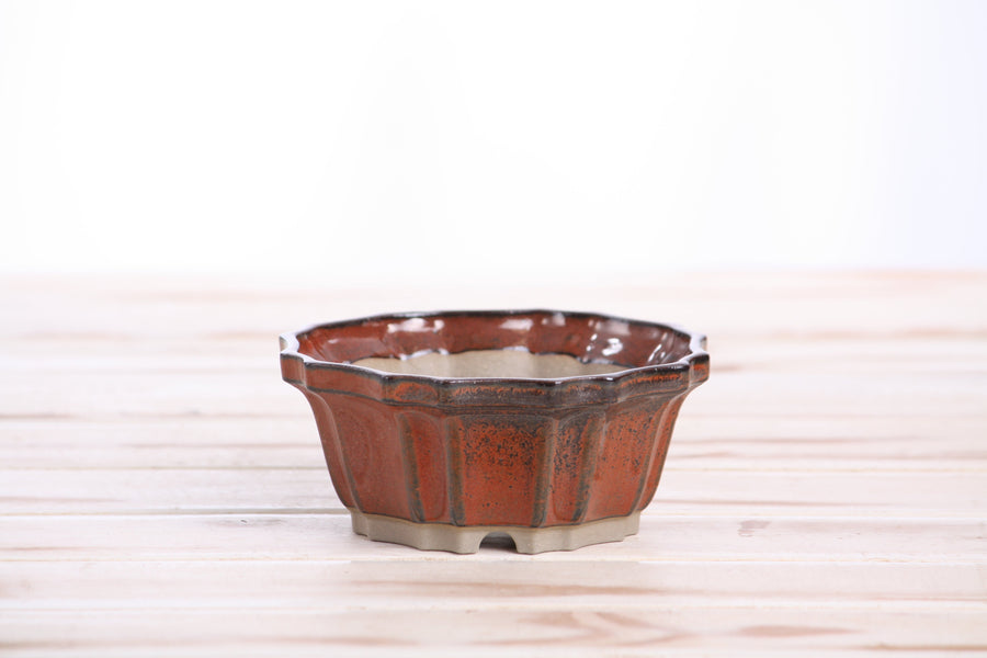 4.5-Inch Flower Bonsai Pot - Sunset