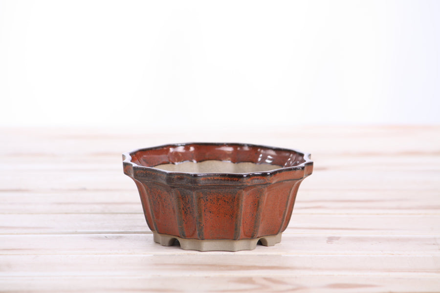4.5-Inch Flower Bonsai Pot - Sunset