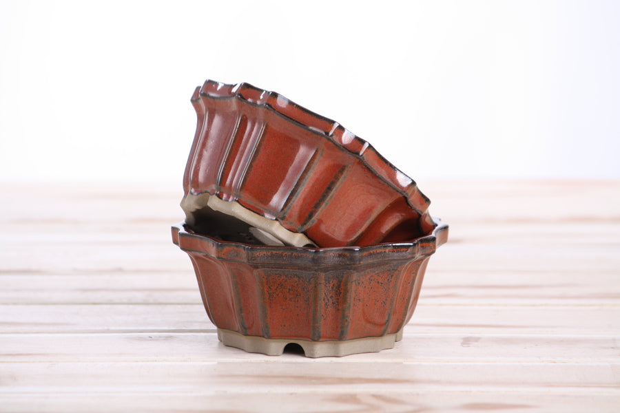 4.5-Inch Flower Bonsai Pot - Sunset