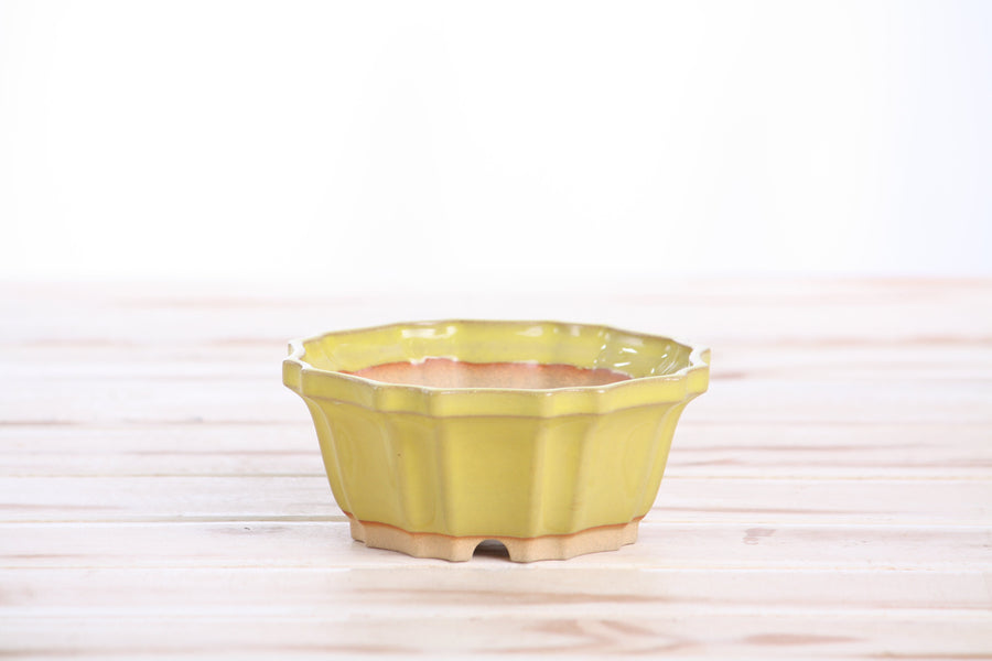 4.5-Inch Flower Bonsai Pot - Yellow