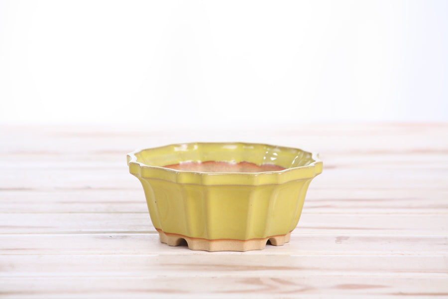 4.5-Inch Flower Bonsai Pot - Yellow