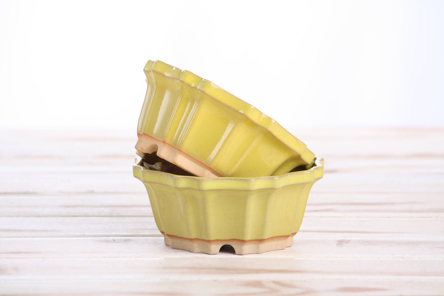 4.5-Inch Flower Bonsai Pot - Yellow