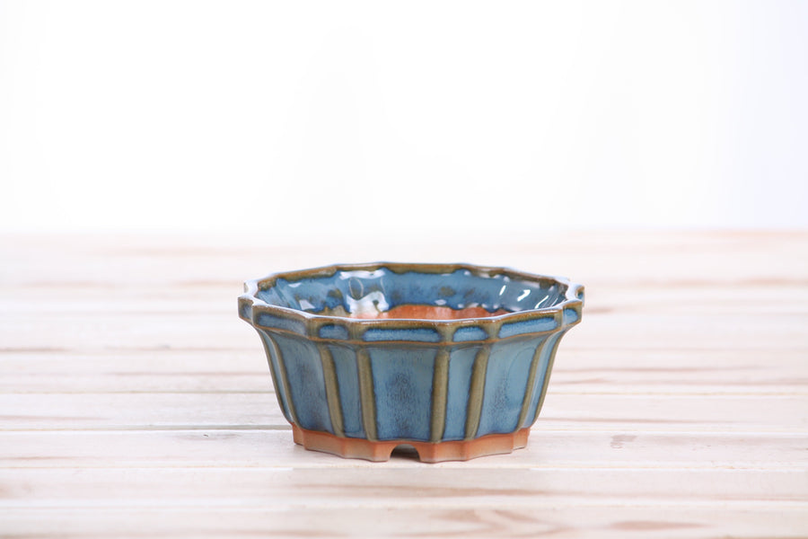 4.5-Inch Flower Bonsai Pot - Peacock 2025