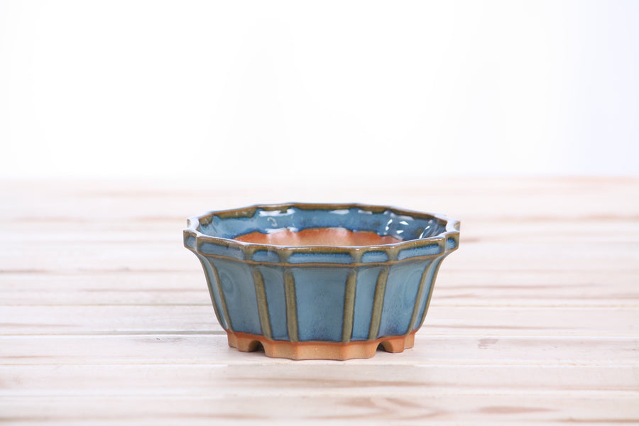 4.5-Inch Flower Bonsai Pot - Peacock 2025