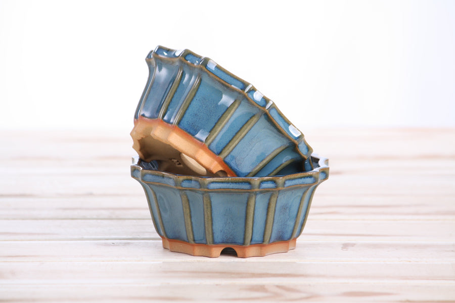 4.5-Inch Flower Bonsai Pot - Peacock 2025