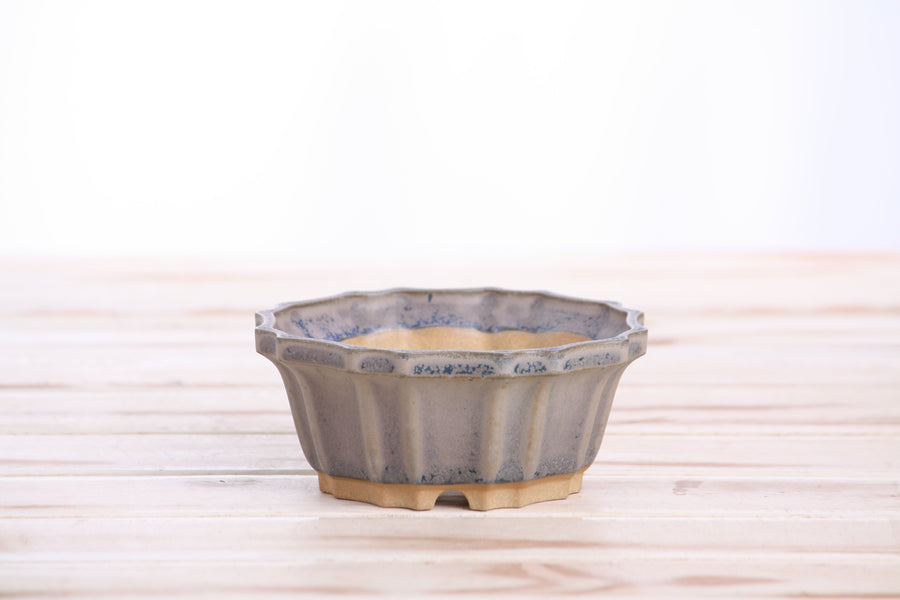 4.5-Inch Flower Bonsai Pot - Ocean
