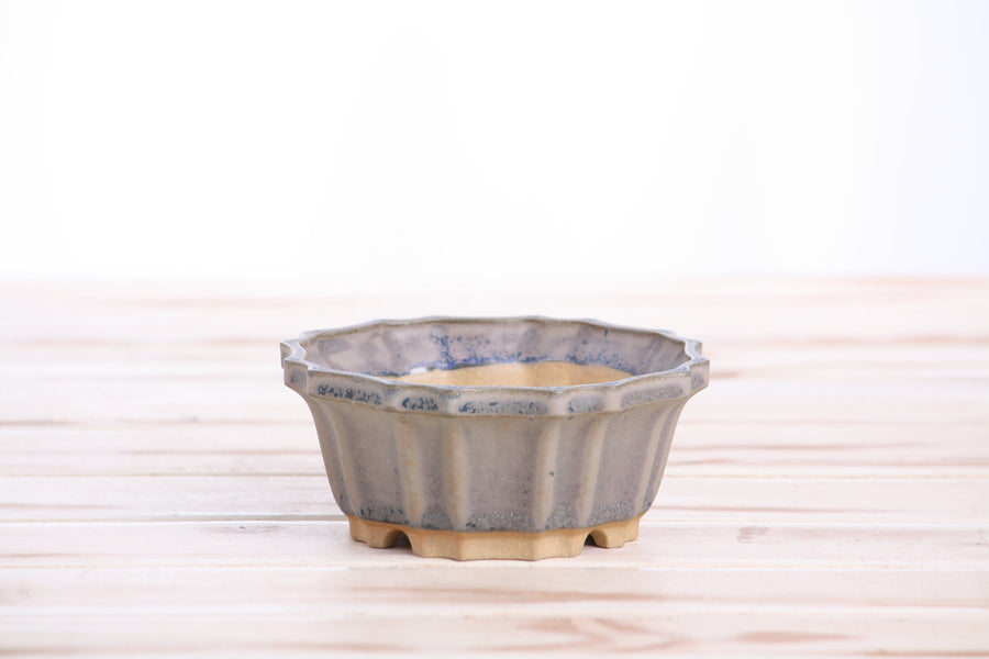 4.5-Inch Flower Bonsai Pot - Ocean