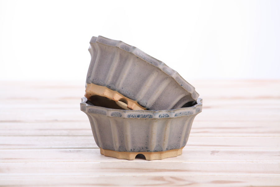 4.5-Inch Flower Bonsai Pot - Ocean