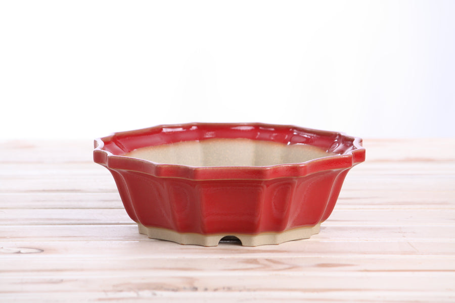 8-Inch Flower Bonsai Pot - Red