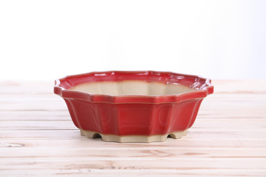 8-Inch Flower Bonsai Pot - Red