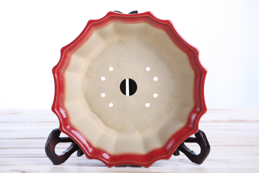8-Inch Flower Bonsai Pot - Red