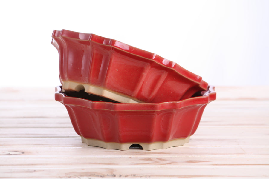 8-Inch Flower Bonsai Pot - Red
