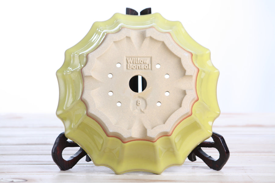 8-Inch Flower Bonsai Pot - Yellow