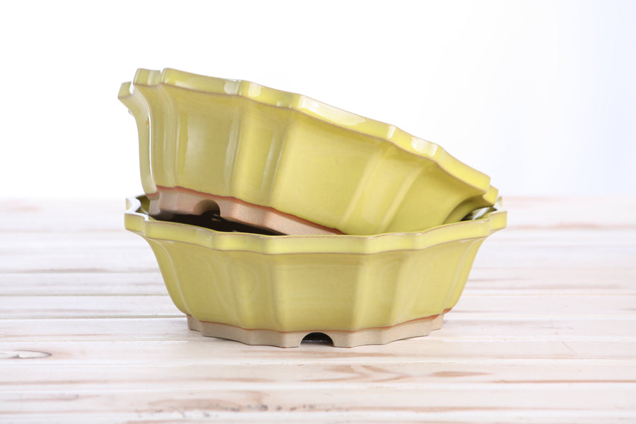 8-Inch Flower Bonsai Pot - Yellow