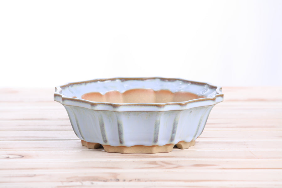 8-Inch Flower Bonsai Pot - Glacier