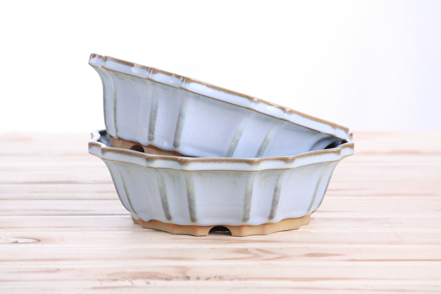 8-Inch Flower Bonsai Pot - Glacier