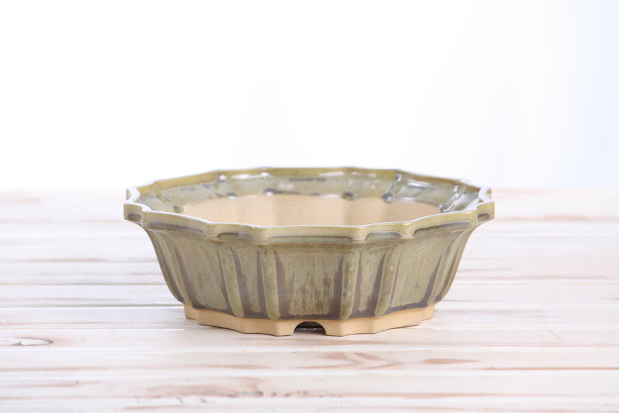 8-Inch Flower Bonsai Pot - Copenhagen