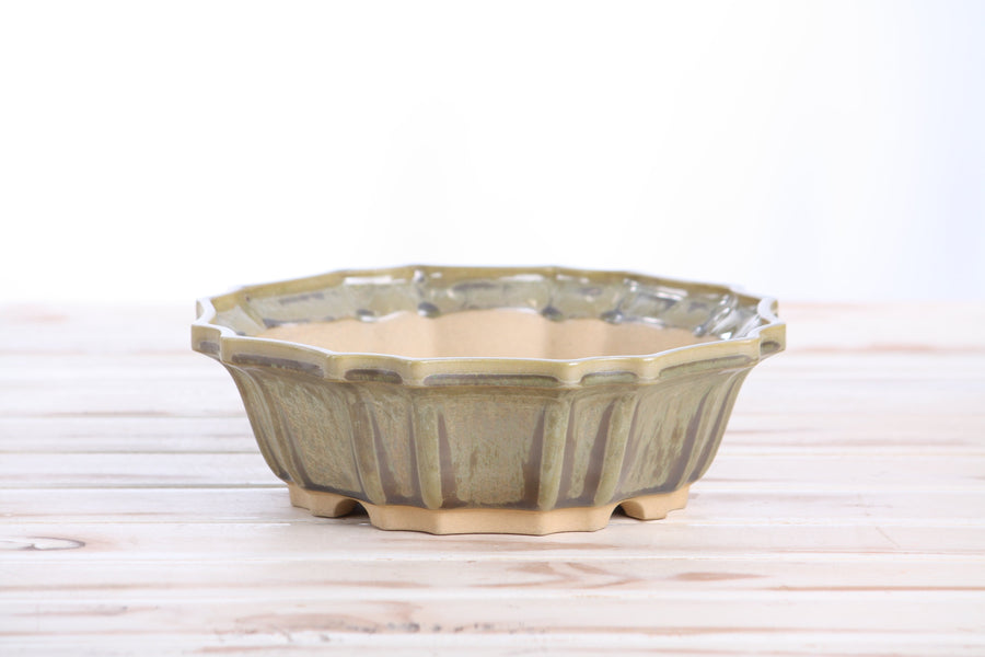 8-Inch Flower Bonsai Pot - Copenhagen